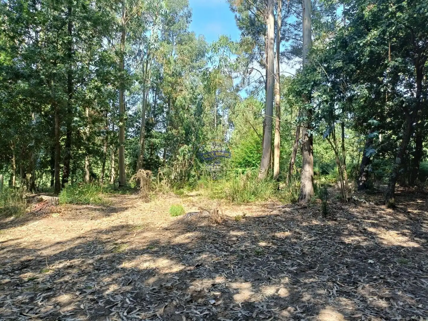 Casa o chalet en venta en Vigo  con Trastero, Amueblado y Balcón