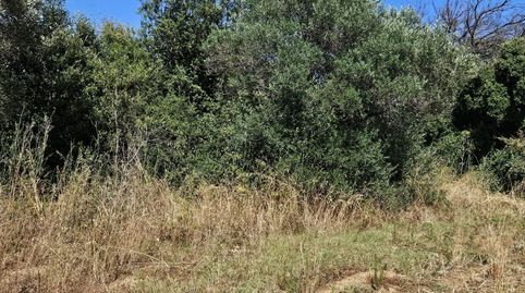 Foto 5 de Residencial en venta en Poble, Calonge i Sant Antoni