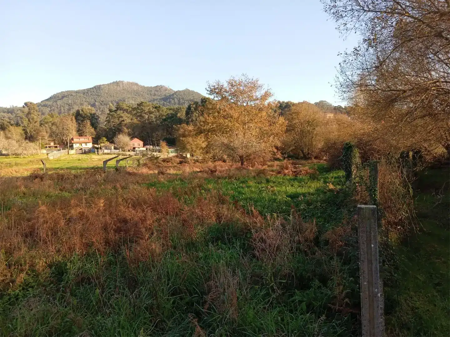 Finca rústica en venda en Nigrán