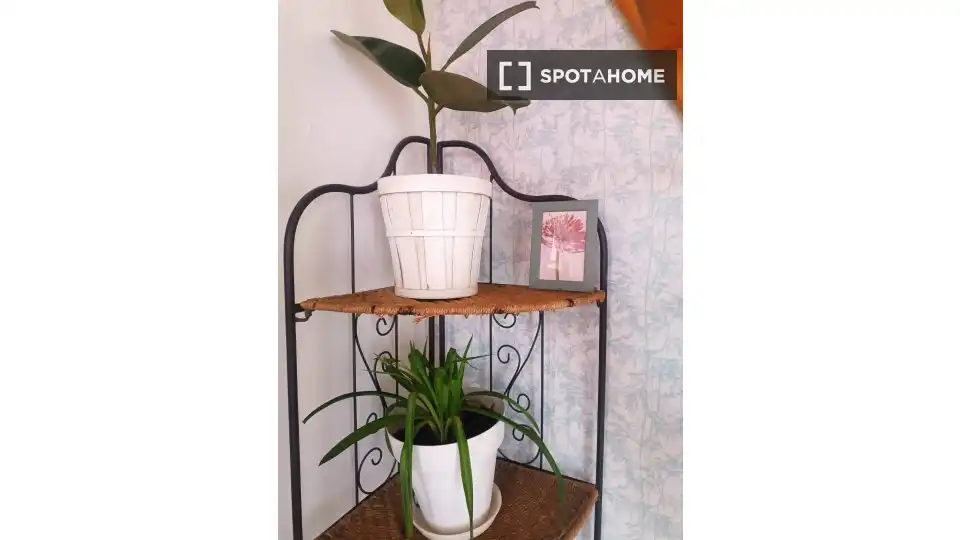 Appartement à louer à Centro, imagen 15