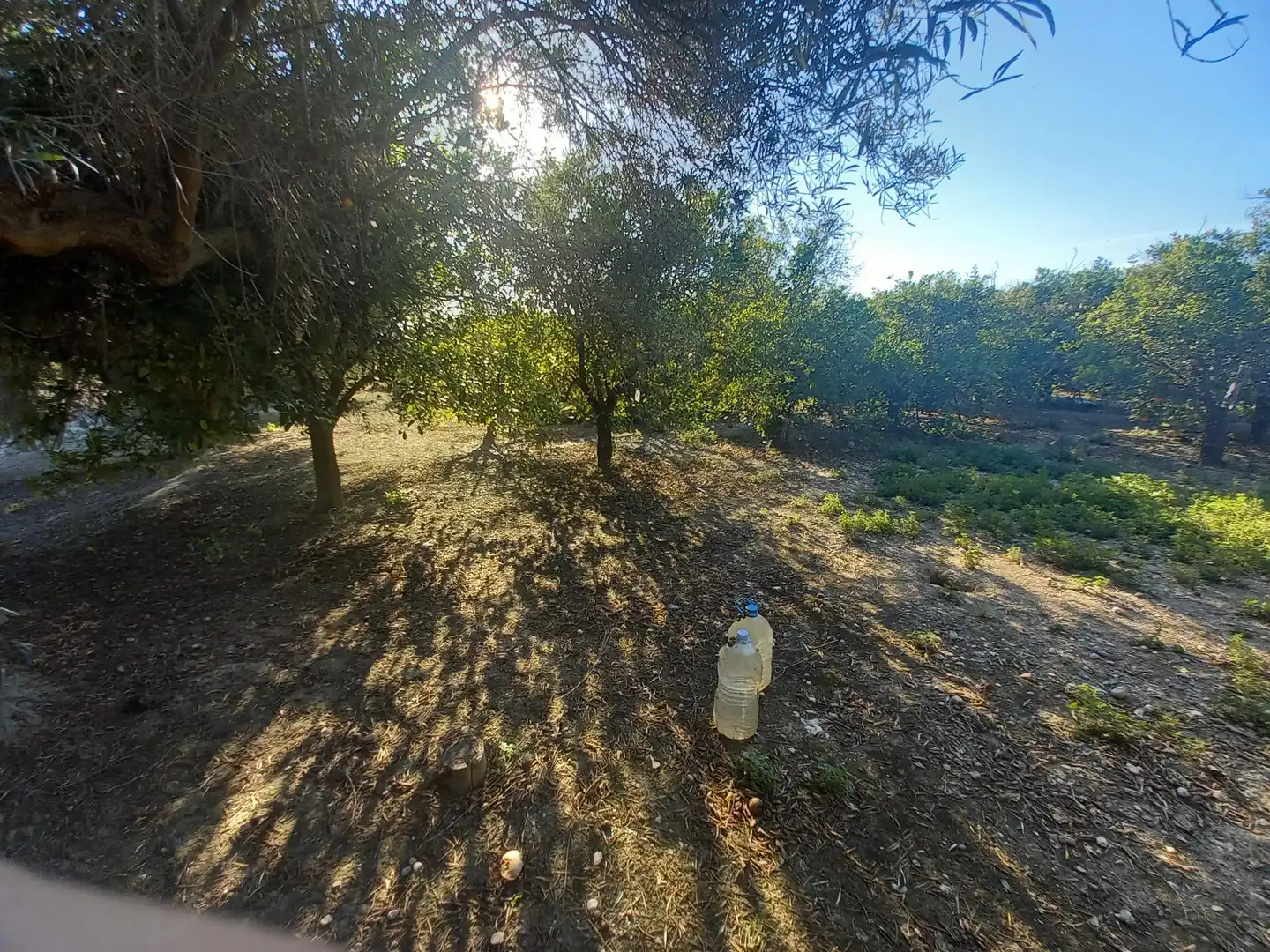 Casa o chalet en venta en Elche / Elx