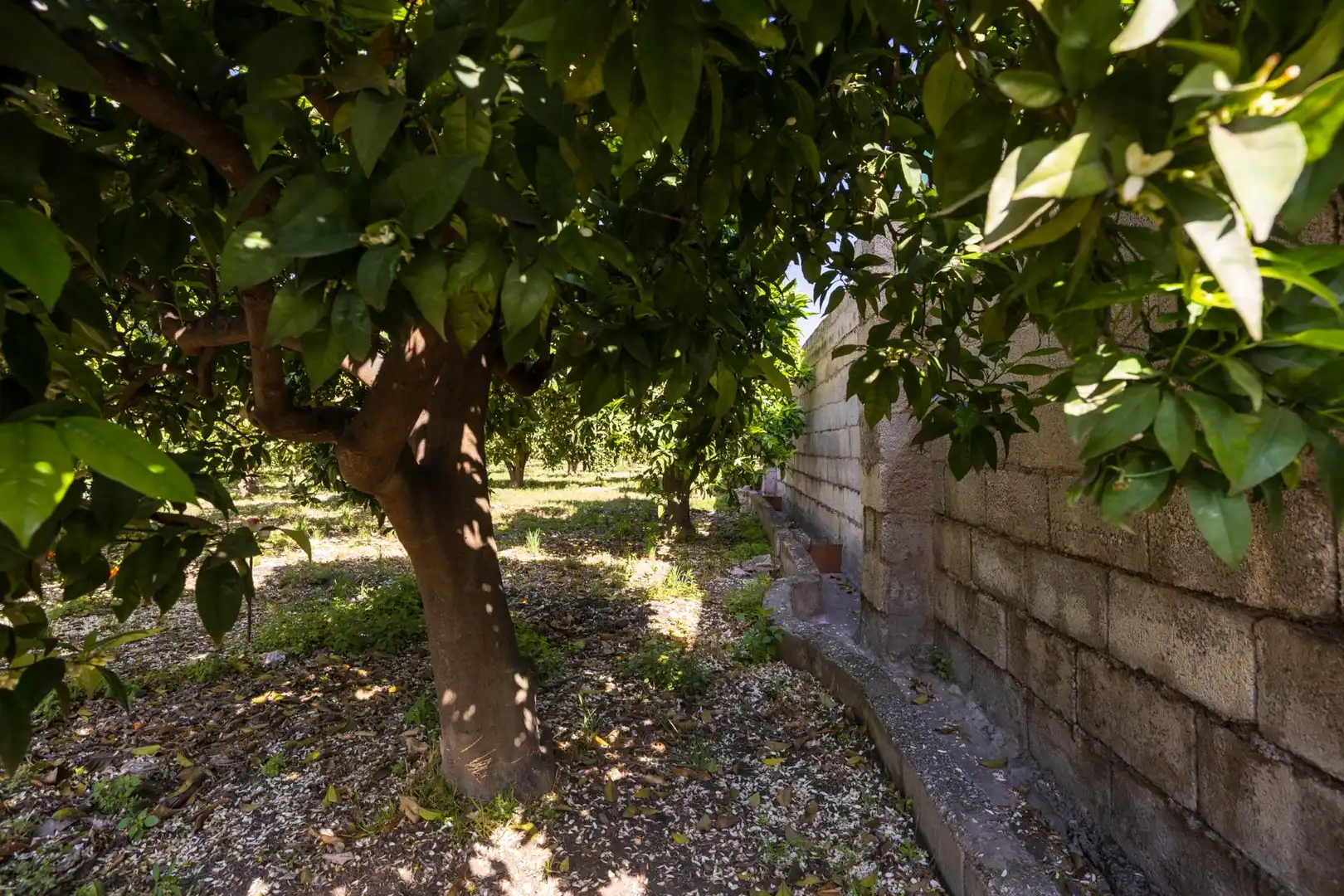 Jardí de Residencial en venda en Lecrín