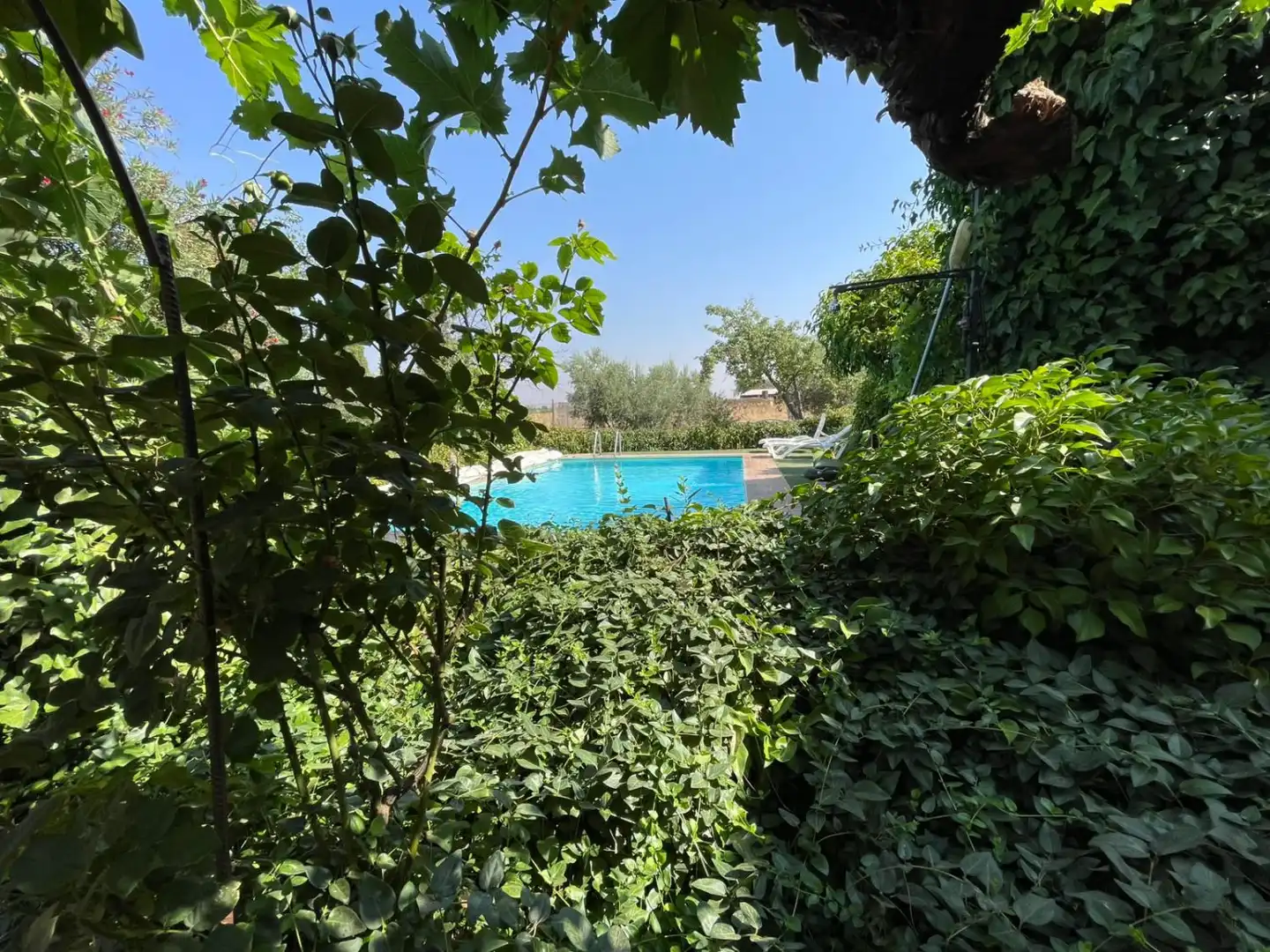 Casa rustica con balcone in vendita a Valdepeñas, imagen 6