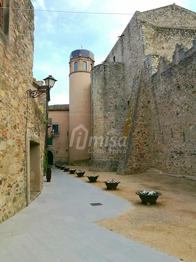 Xalet amb piscina en venda a Miquel Marti i Pol, imagen 20