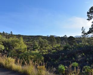 Exterior view of Country house for sale in Santiago del Teide