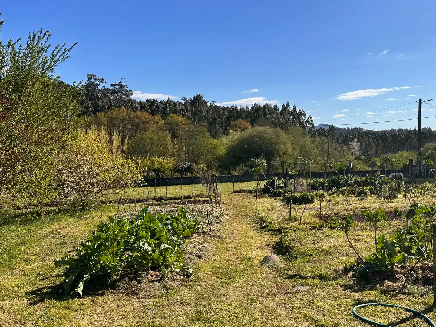 Jardín de Casa o chalet en venta en Boqueixón con Jardín privado, Amueblado y Balcón