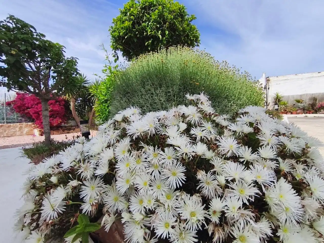 Garden of Houses for sale in Elche / Elx  with Air Conditioner, Private garden and Terrace