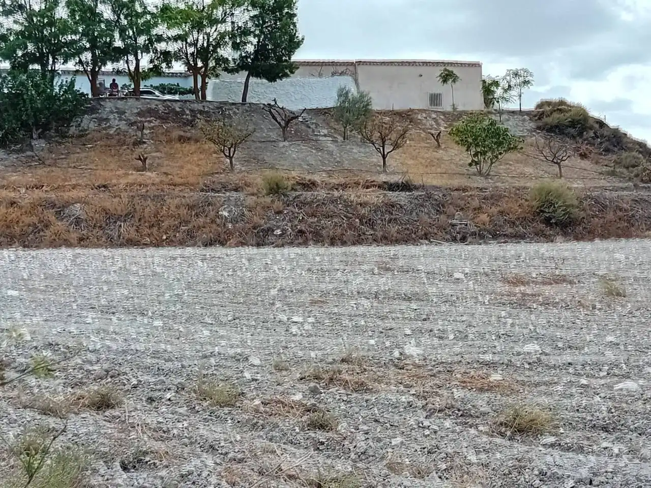 Industrial land for sale in Orce