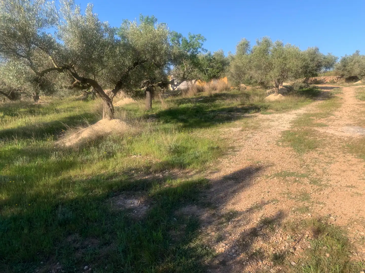 Finca rústica en venda en Camarles