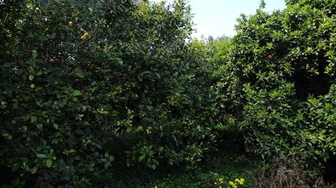 Photo 3 of Country homes for sale in Llano de Brujas, Murcia Capital