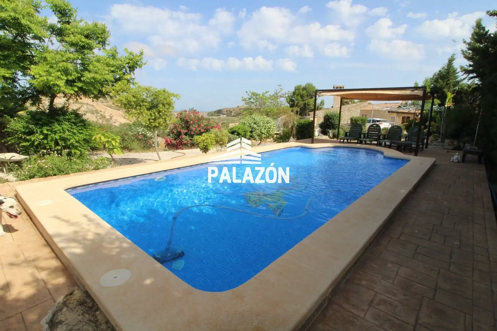 Finca rústica en venta en Crevillent