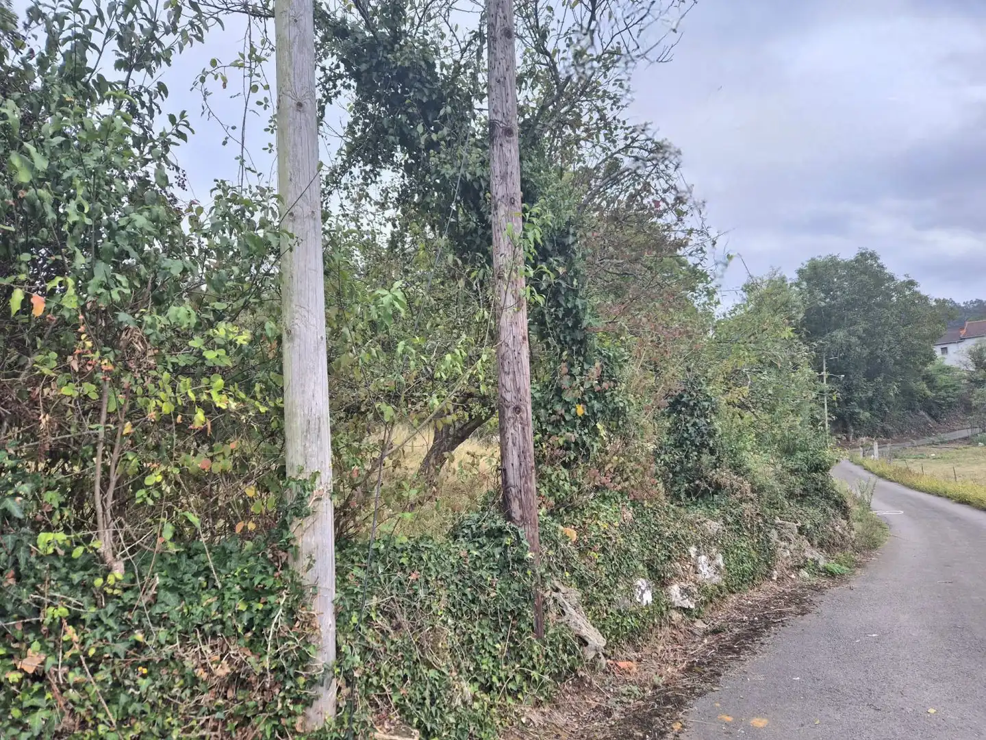 Residential land for sale in Grado, imagen 5