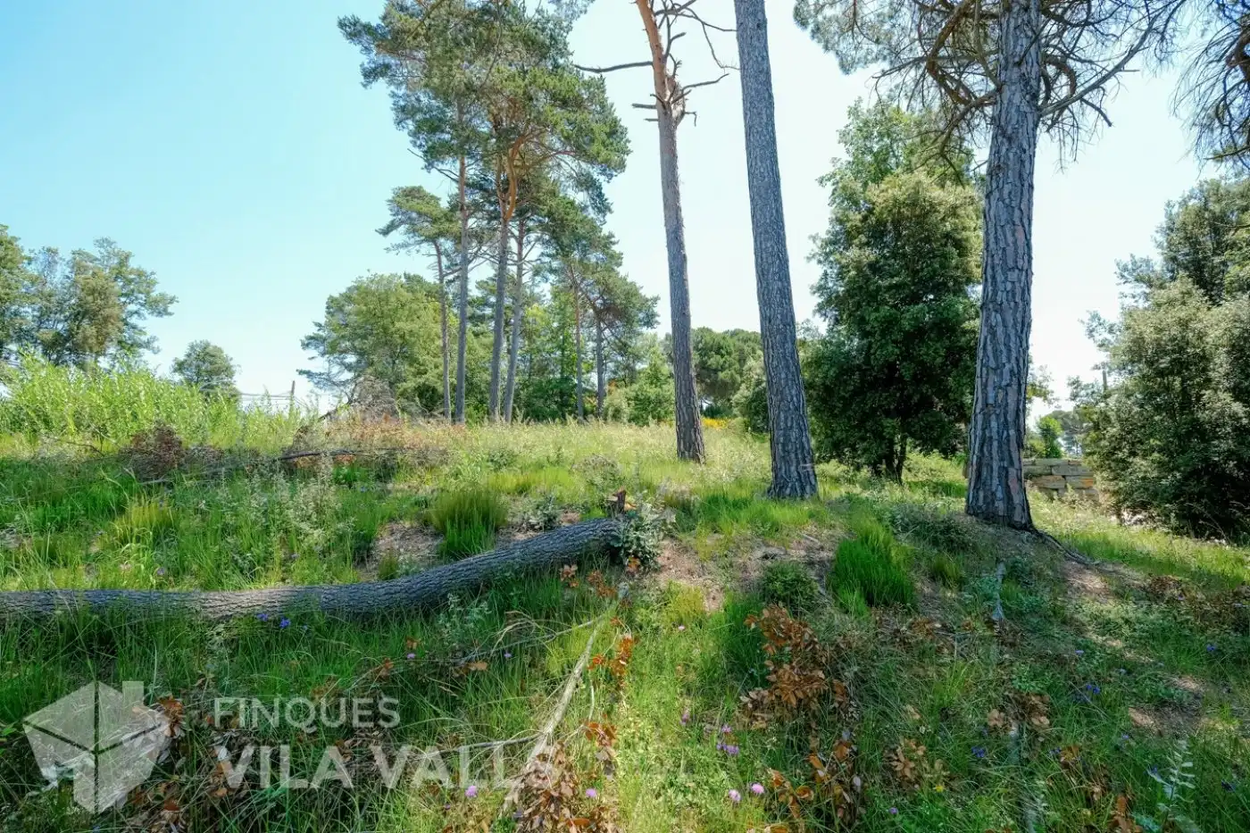 Residencial en venta en Sant Quirze Safaja