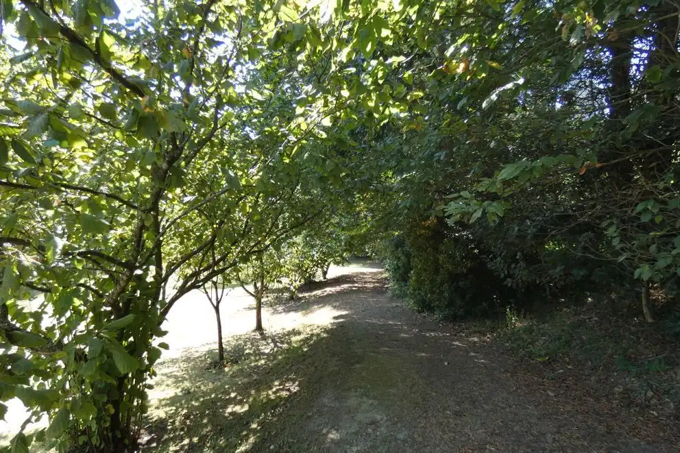 Garden of Houses for sale in Navia  with Private garden and Storage room