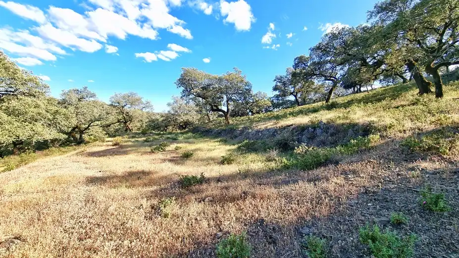 Terreni e lotti in vendita a Linares de la Sierra, imagen 7