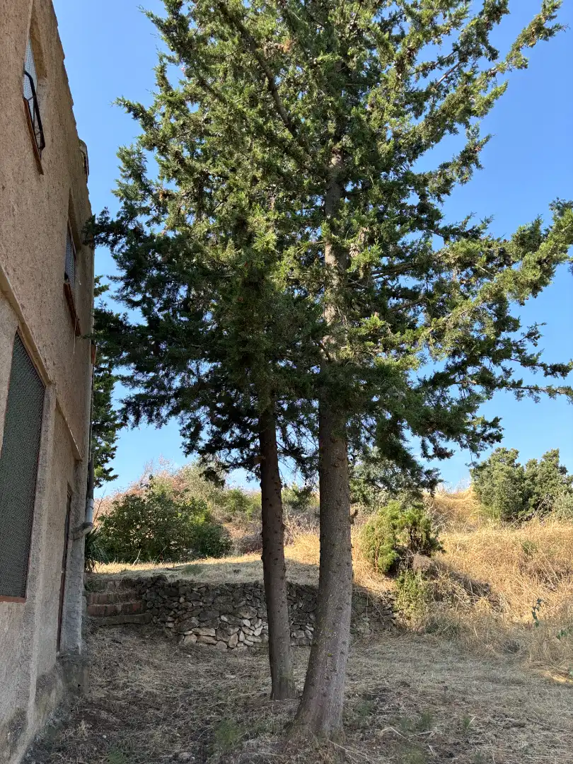 Rural land for sale in Carrer de la Muntanya, imagen 40