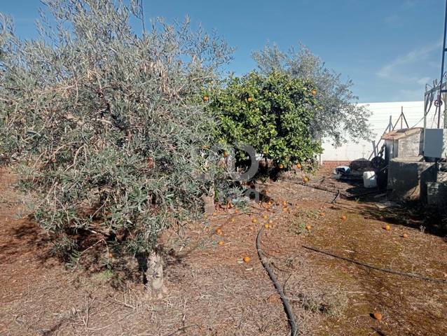 Terreno residencial en Venta en Cañada Rosal