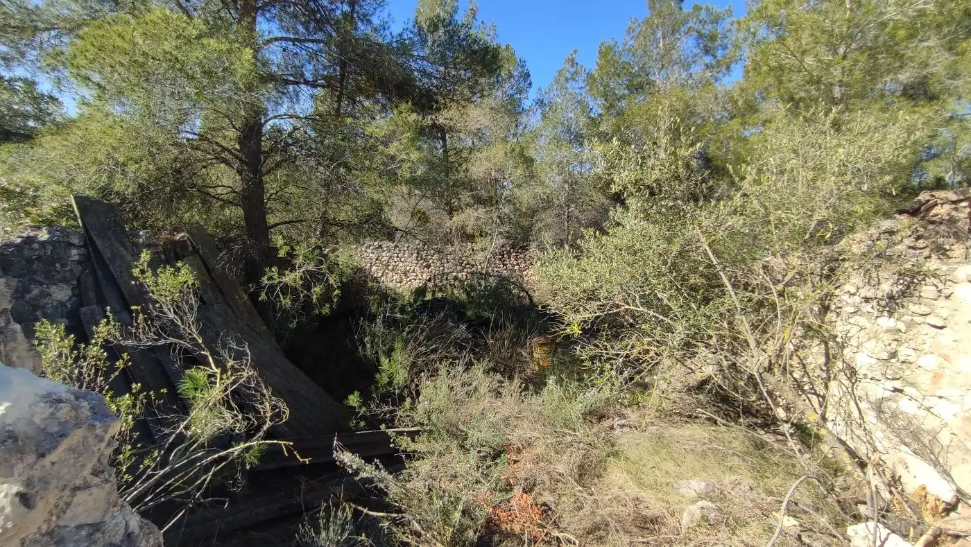 Rural land for sale in Carrer de les Pinyeres 24, imagen 10