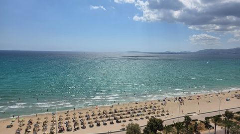 Foto 3 de Estudio de alquiler en Les Maravelles, Palma de Mallorca