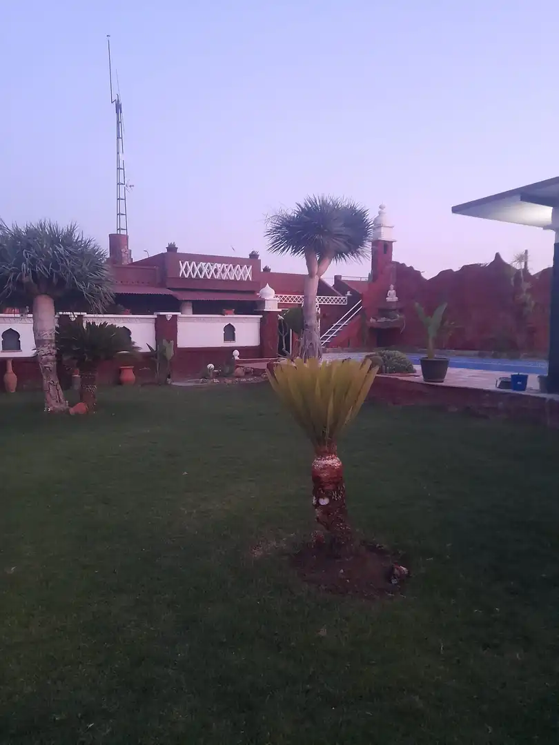 Jardín de Casa o chalet en venta en Brenes con Aire acondicionado, Jardín privado y Piscina