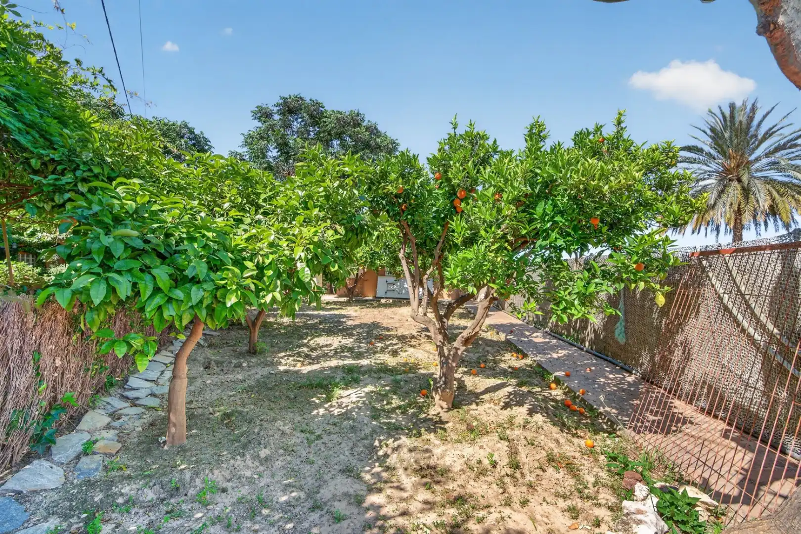 Casa o chalet en venta en Benferri con Piscina