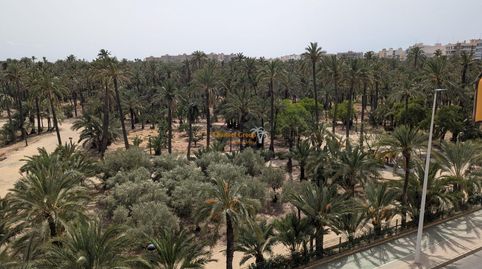 Foto 4 de Piso en venta en Ciutat Jardí - Torreta Verdí, Elche / Elx