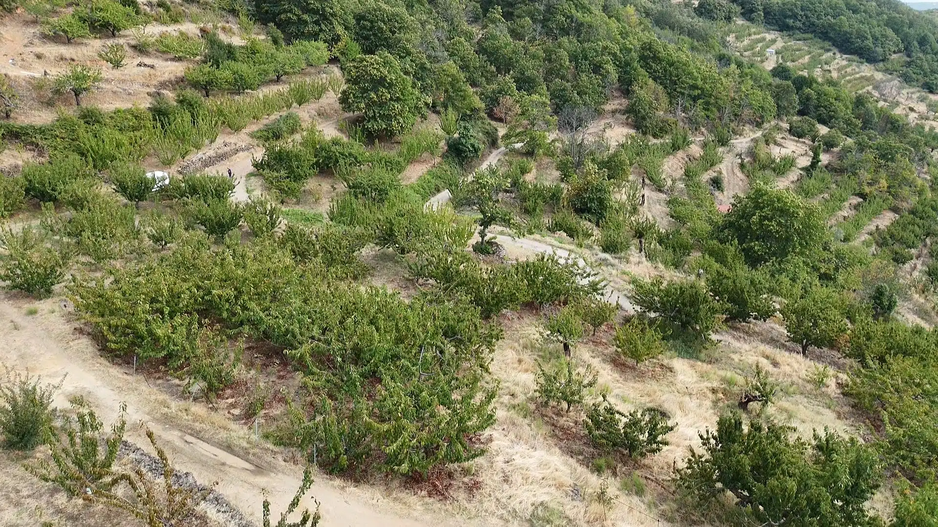 Terrain rustique à vendre à Avenida Extremadura 72, imagen 8