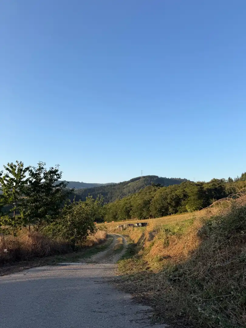 Rural land for sale in Tineo, imagen 14