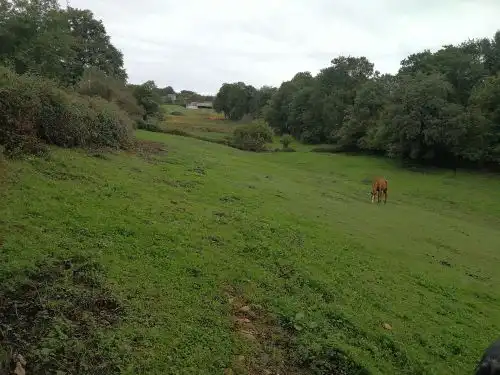 Terrenys i solars en venda a Corvera de Asturias, imagen 9