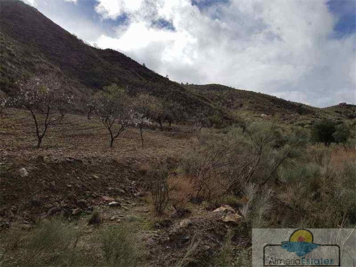 Finca rústica en venda en Albánchez