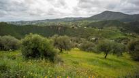 Land for sale in Mijas