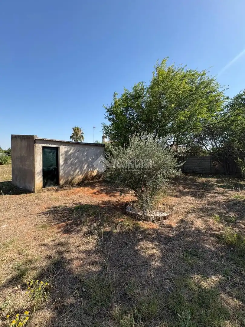 Casa o xalet en venda en La Rinconada amb Jardí privat