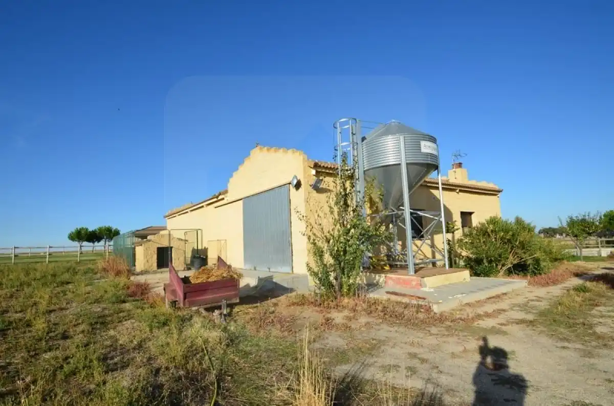 Finca rústica en venta en EXTRARRADIO, Palacios de Goda