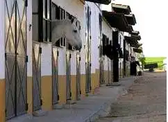 Maison rustique à vendre à Aljaraque (Huelva).