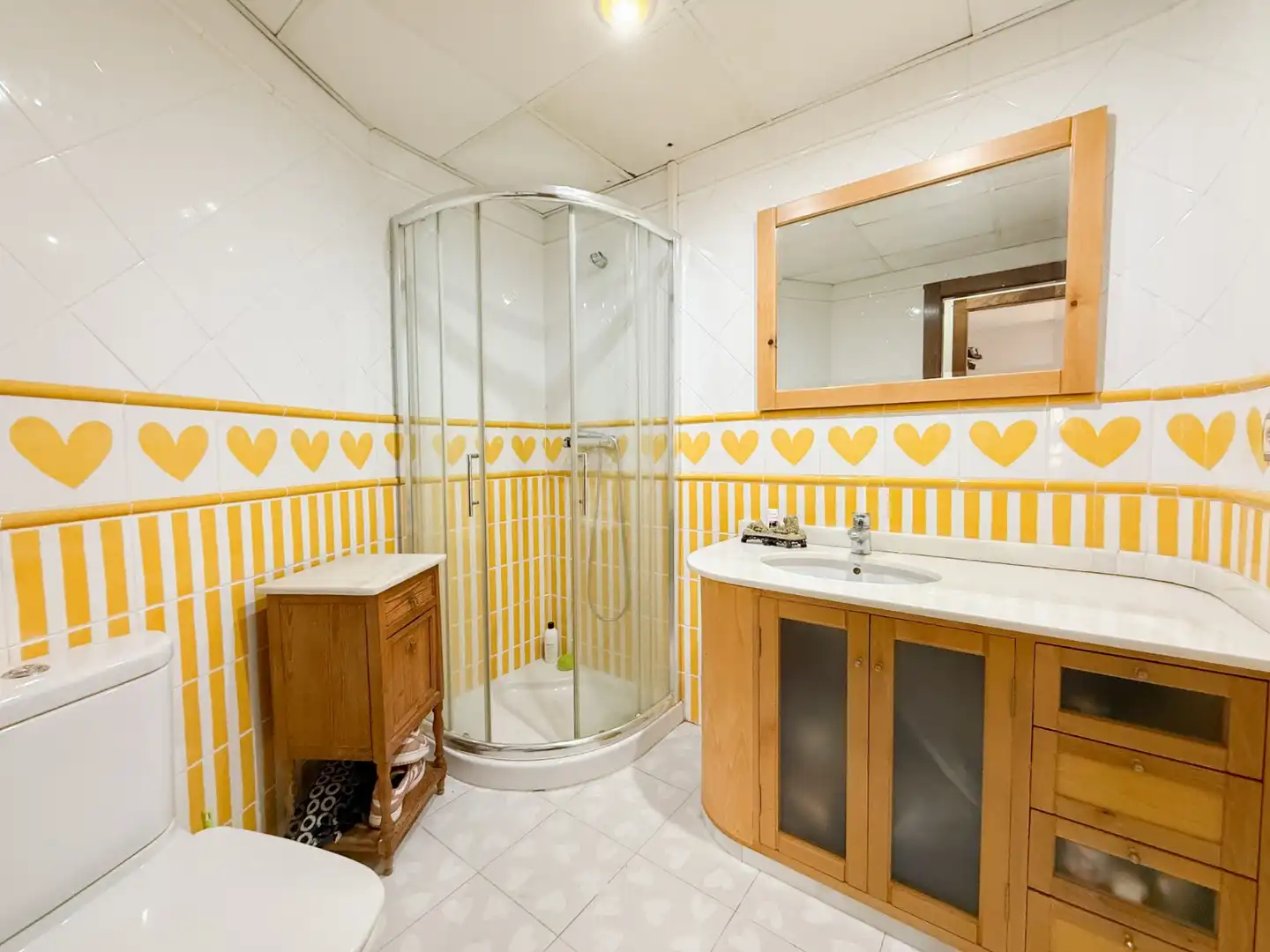 Attique avec ascenseur à vendre à Casco Antiguo, imagen 24