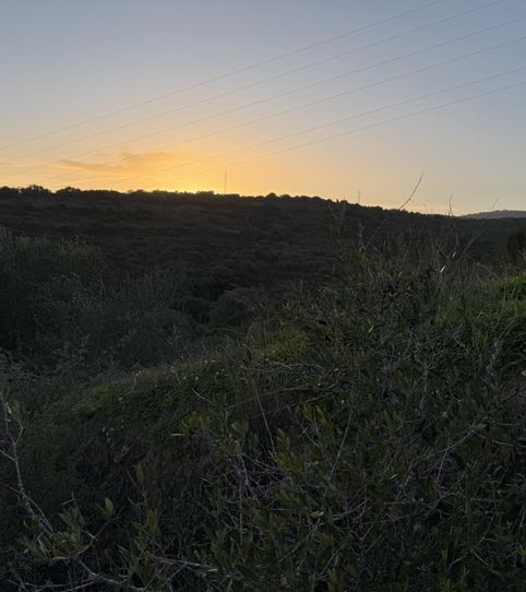 Foto 2 de Residencial en venta en , del Mar Mediterráneo, San Enrique - Guadiaro - Pueblo Nuevo, Sotogrande