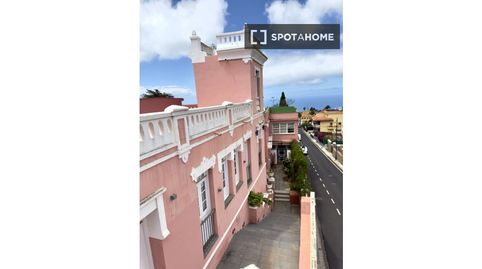 Photo 2 of Room in Tacoronte - Los Naranjeros, Tacoronte