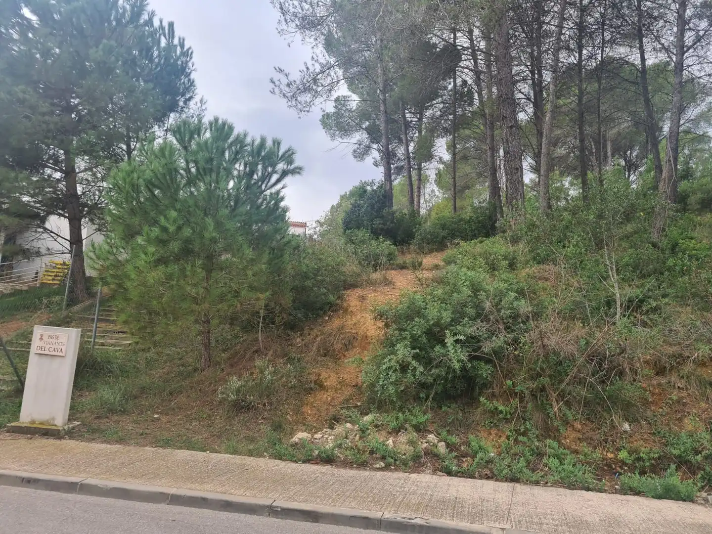 Terreny residencial en venda a Carrer de Can Bosch 76, imagen 2