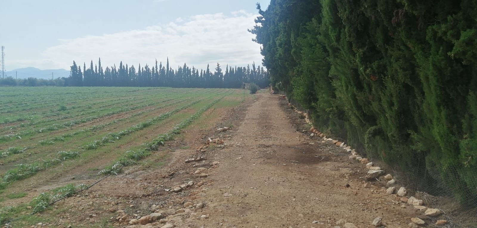 Residential for sale in L'Aldea