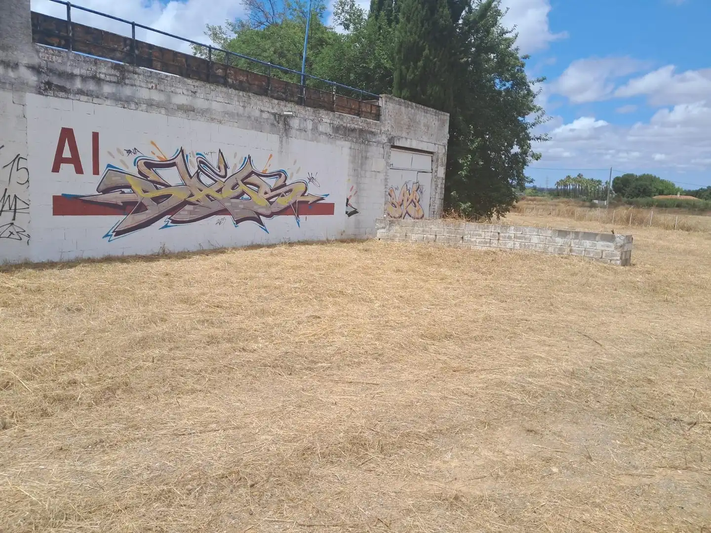 Terreni e lotti in vendita a Carretera Olivenza, imagen 7