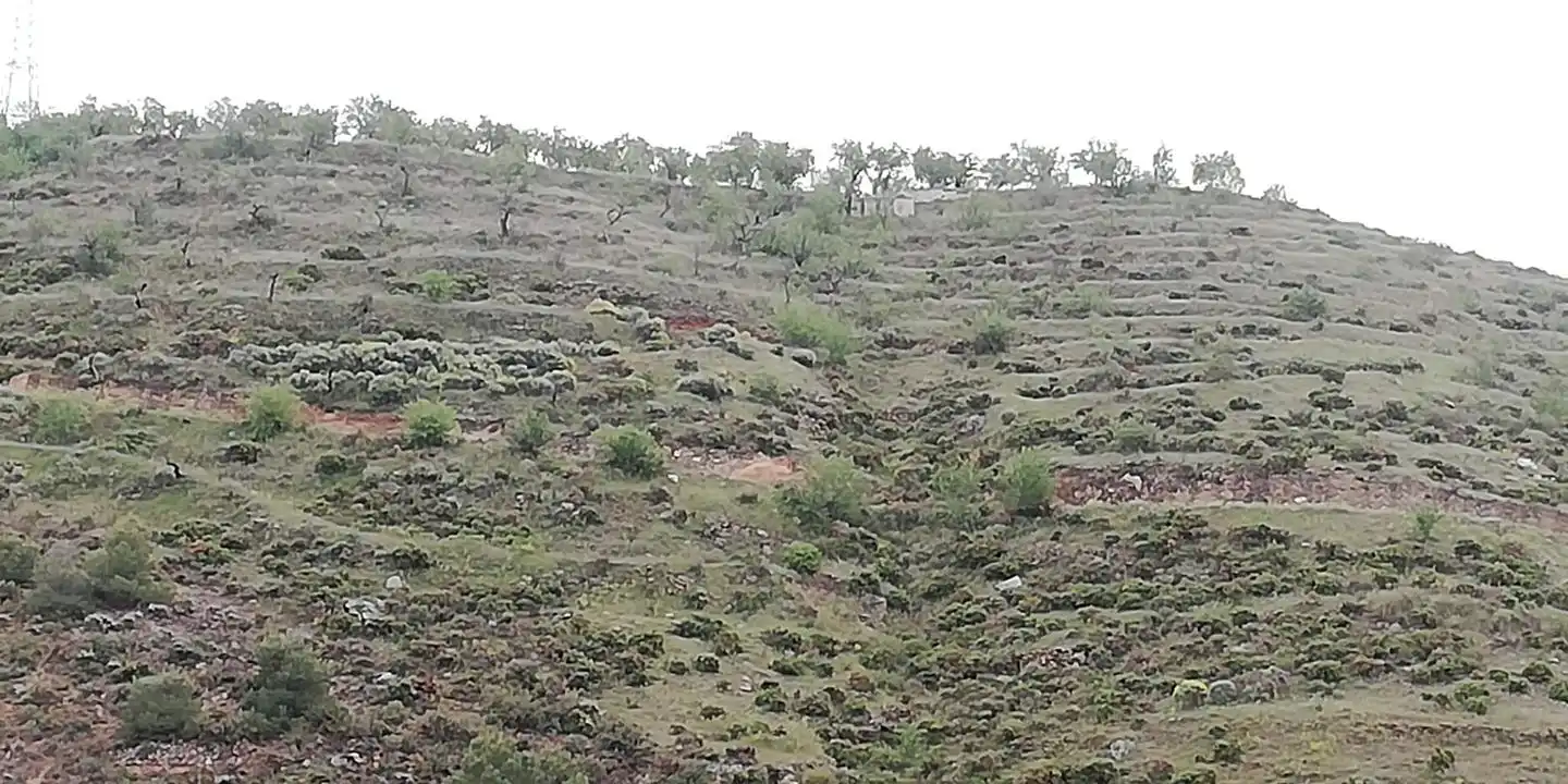 Casa rústica en venda a Dúrcal, imagen 3