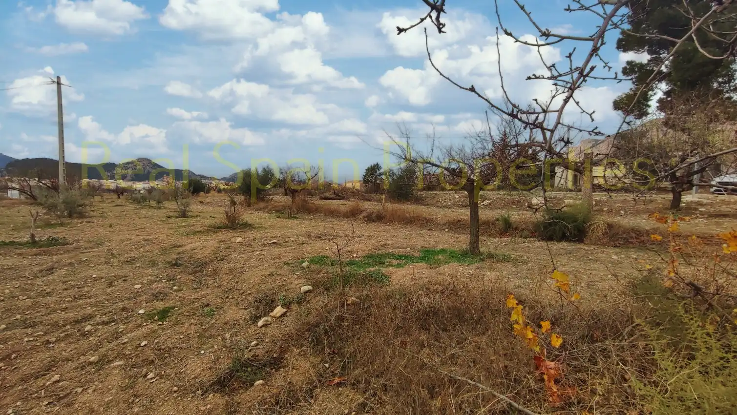 Casa rústica en venta en Vélez-Rubio, imagen 2