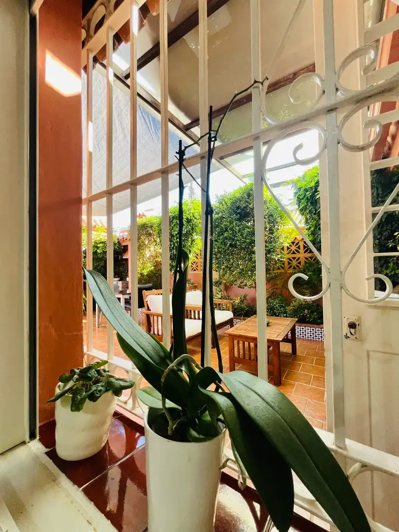 Terraza de Casa o chalet en venta en Fuengirola con Aire acondicionado, Jardín privado y Terraza