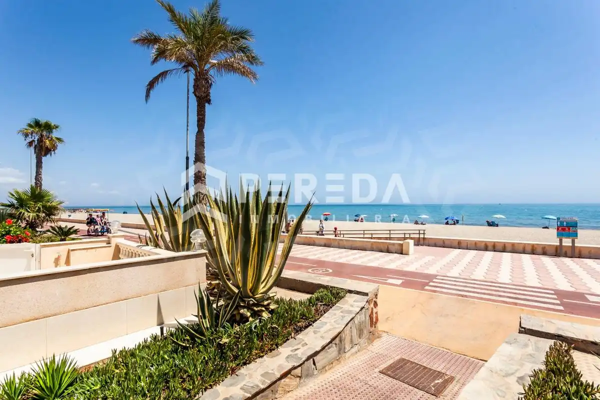 Exterior view of Houses for sale in Roquetas de Mar  with Terrace and Community pool
