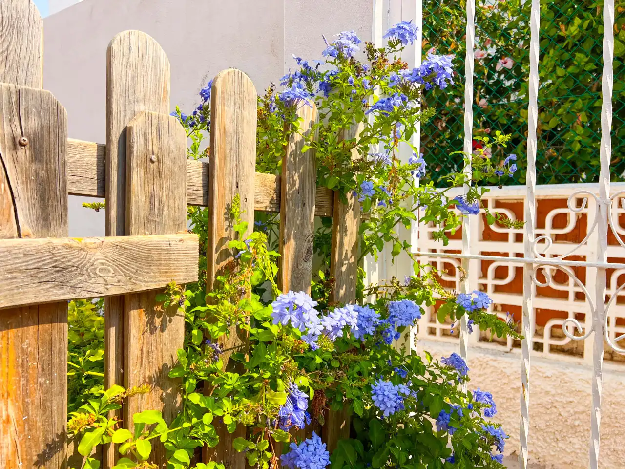 Jardí de Casa o xalet en venda en Torrevieja amb Aire condicionat, Calefacció i Terrassa