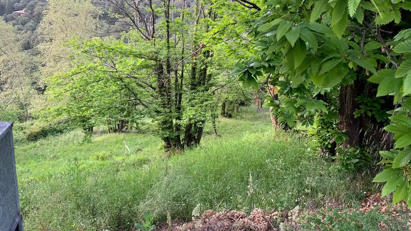 Terreno residencial en venta en Arbúcies, imagen 2