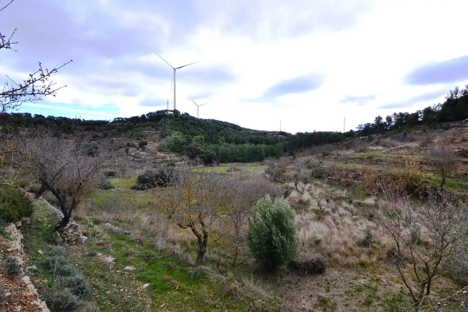 Terreno en venta en Vilalba dels Arcs