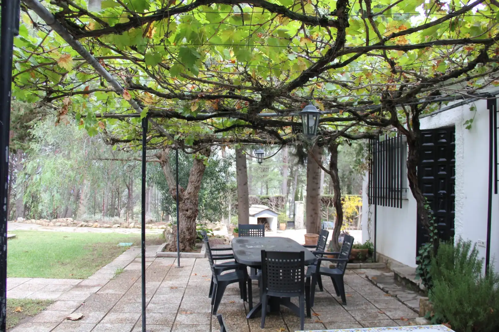 Garden of Houses for sale in Ronda  with Private garden and Swimming Pool