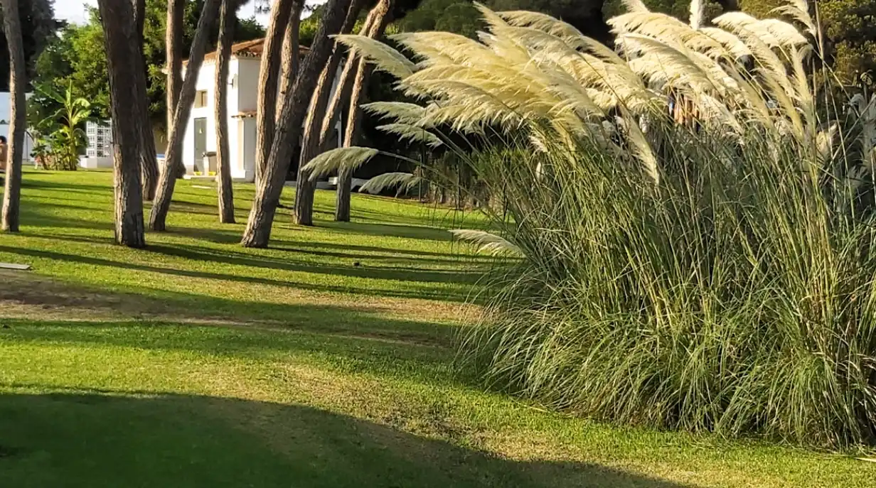 Jardín de Apartamento en venta en Mijas con Aire acondicionado, Trastero y Amueblado