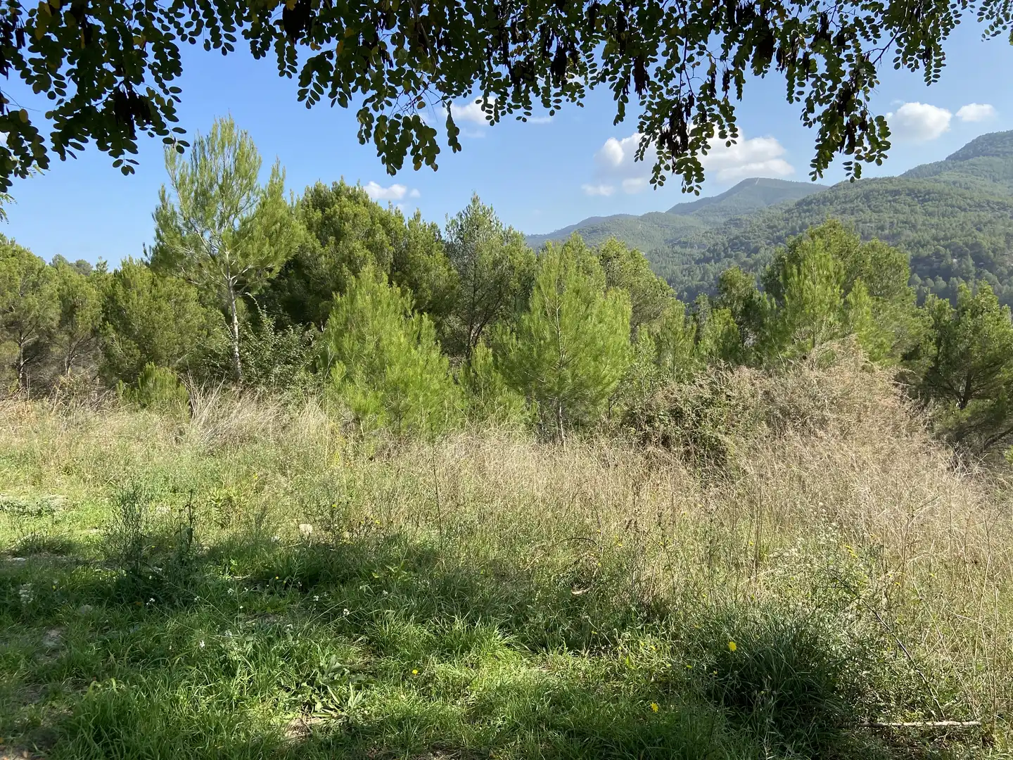Residencial en venta en Teresa De Calcuta, Súria